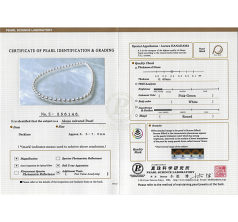 8.5-9mm japoneza Akoya Colier in Hanadama 16 inci Alb