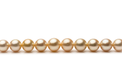 9.3-13.3mm Marea Sudului Colier in 18 inch Aur