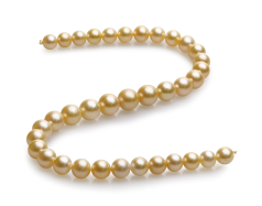 10-13.5mm Marea Sudului Colier in 18 inch Aur