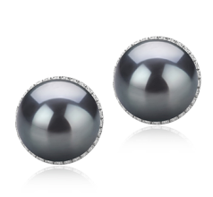 10-11mm tahitian Set de cercei in Tammy Negru