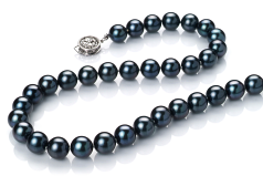 7.5-8mm japoneza Akoya Colier in Negru