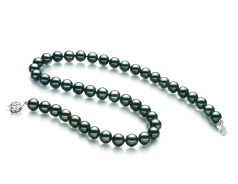 8-8.5mm japoneza Akoya Colier in Negru