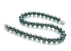 8-8.5mm japoneza Akoya Colier in Negru