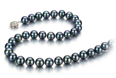 8-8.5mm japoneza Akoya Colier in Negru