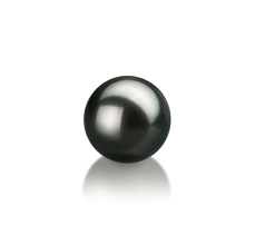 8-9mm japoneza Akoya Perla libera in Negru